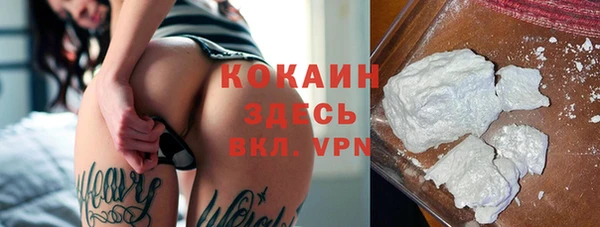дживик Алзамай