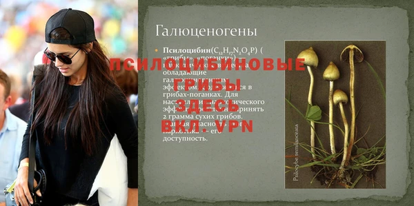 дживик Алзамай