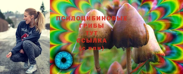 дживик Алзамай